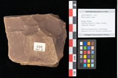 Foto (Objekt + Etikett) von Myrica lignitum Unger (NHMW-GEO-2024-0188-0610)